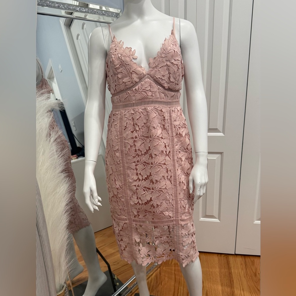 Bardot Blush Lace Midi Dress